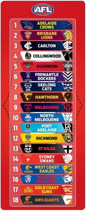 AFL Magnetic Mini Footy Ladder