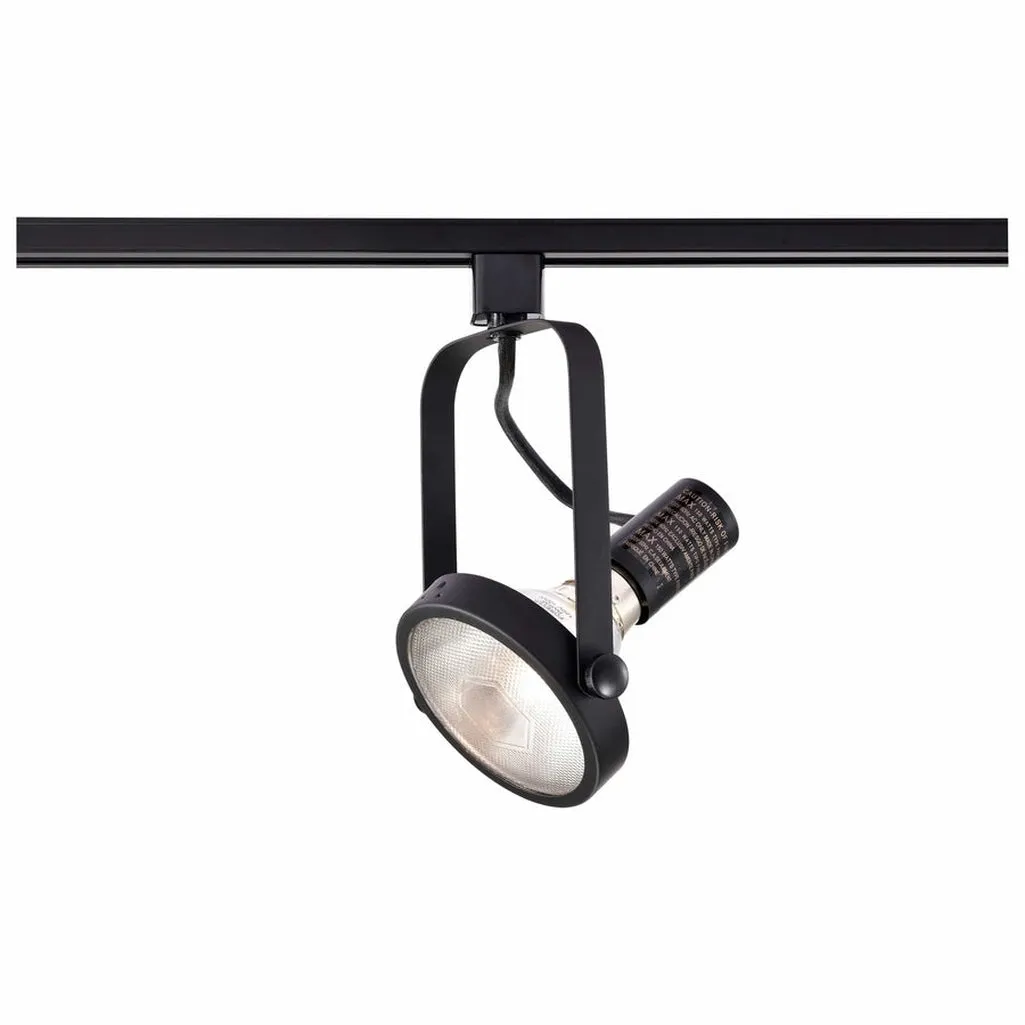 BLACK PAR38 GIMBAL RING