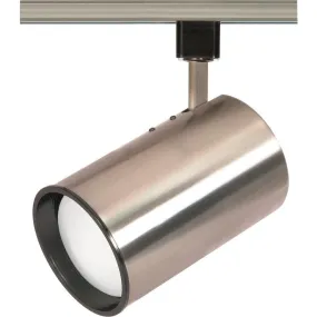 BRSHED NICKEL R30 STRAIGHT CYL