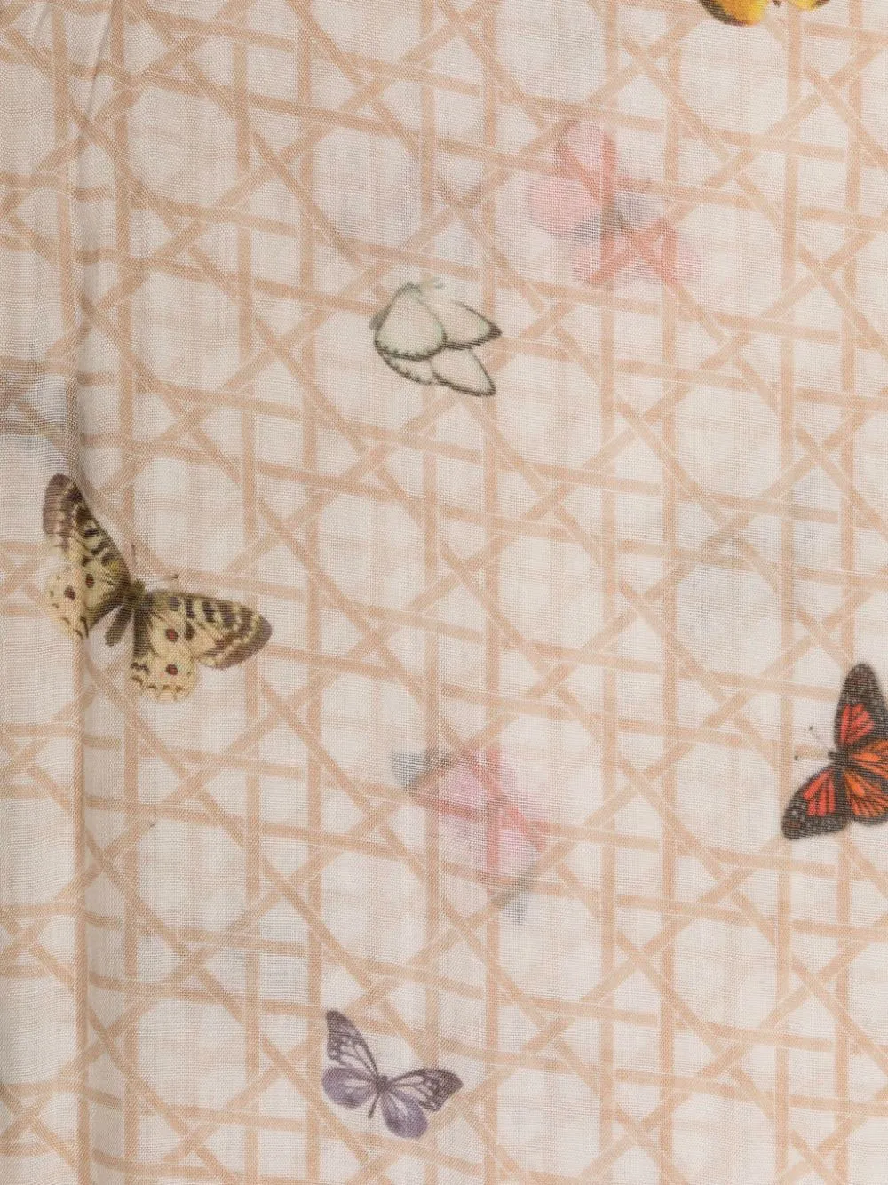 Fly butterfly-print scarf